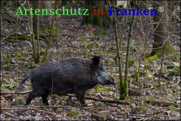 Copyright AiF Johannes Rother Bild zum Eintrag (73300-160)