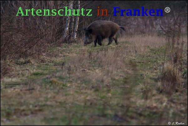 Copyright AiF Johannes Rother Bild zum Eintrag (73311-160)