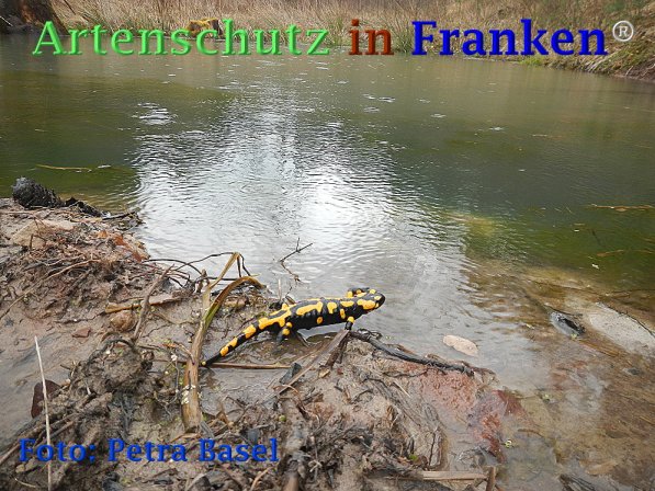 Copyright AiF Thomas Köhler Bild zum Eintrag (73456-160)