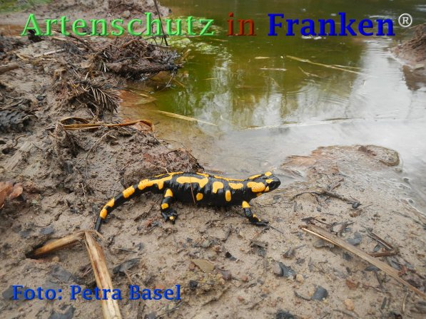 Copyright AiF Thomas Köhler Bild zum Eintrag (73457-160)
