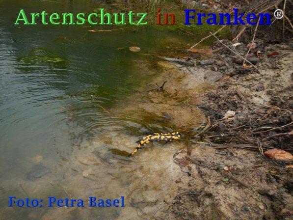 Copyright AiF Petra Basel Bild zum Eintrag (73465-160)