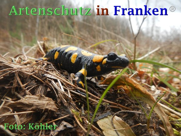 Copyright AiF Thomas Köhler Bild zum Eintrag (73468-160)
