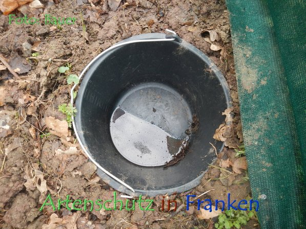 Copyright AiF - Bauer Bild zum Eintrag (73521-160)