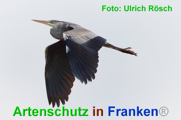 Bild zum Eintrag (73580-160)