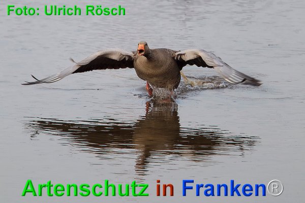 Copyright AiF Ulrich Rösch Bild zum Eintrag (73583-160)