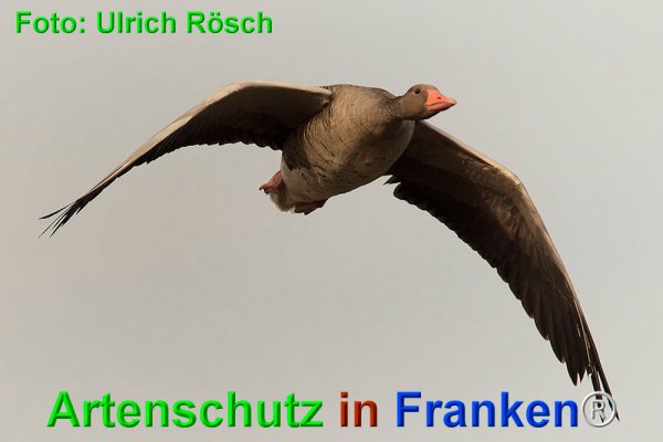Copyright AiF Ulrich Rösch Bild zum Eintrag (73584-160)