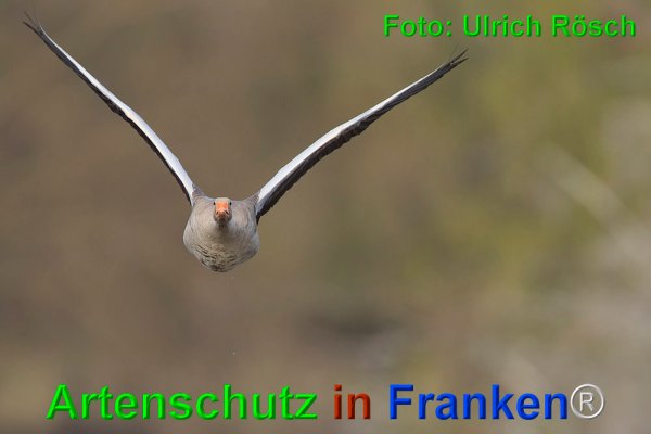 Copyright AiF Ulrich Rösch Bild zum Eintrag (73588-160)