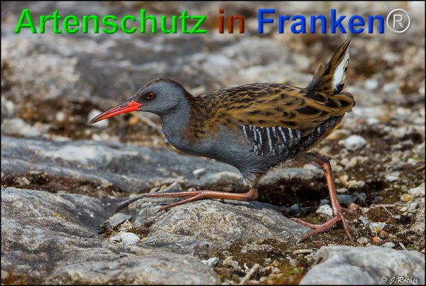 Copyright AiF Johannes Rother Bild zum Eintrag (73615-160)