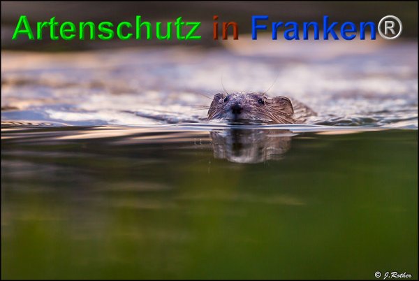 Copyright AiF Johannes Rother Bild zum Eintrag (73634-160)