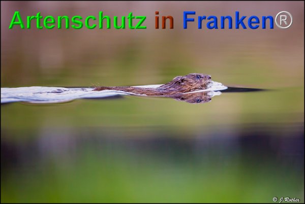 Copyright AiF Johannes Rother Bild zum Eintrag (73635-160)