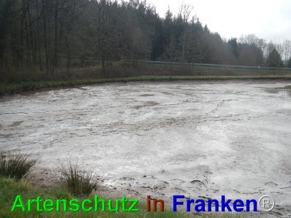 Bild zum Eintrag (73674-160)