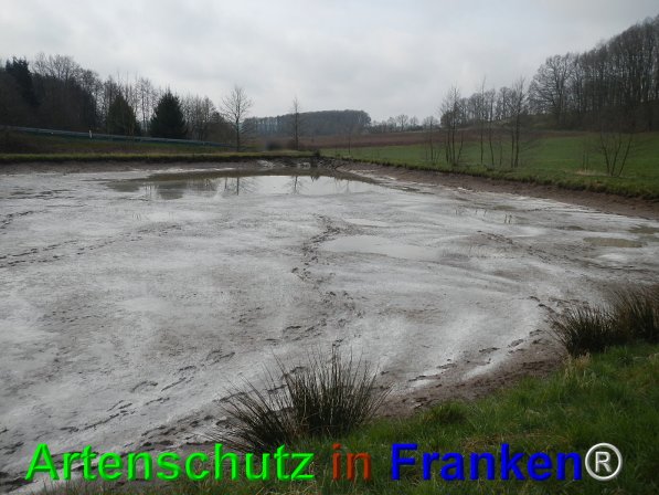 Bild zum Eintrag (73675-160)