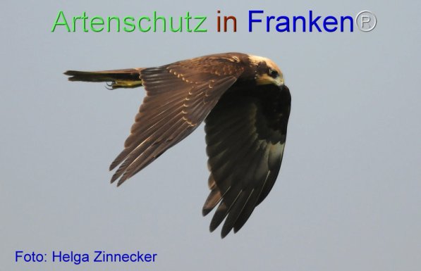 Copyright AiF Helga Zinnecker Bild zum Eintrag (73980-160)