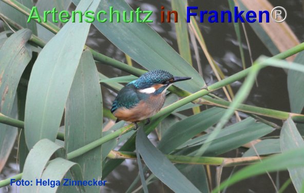 Copyright AiF Ulrich Rösch Bild zum Eintrag (74016-160)