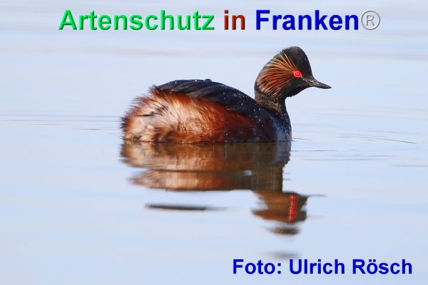 Copyright AiF Ulrich Rösch Bild zum Eintrag (74029-160)