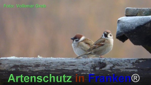 Copyright AiF Volkmar Greb Bild zum Eintrag (74050-160)