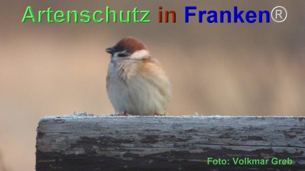 Copyright AiF Volkmar Greb Bild zum Eintrag (74051-160)