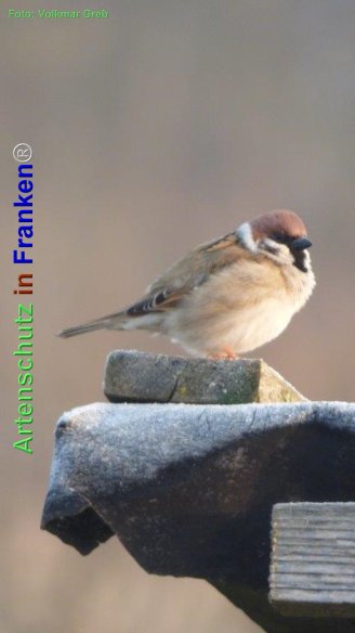 Copyright AiF Volkmar Greb Bild zum Eintrag (74052-160)