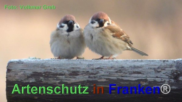 Copyright AiF Volkmar Greb Bild zum Eintrag (74053-160)
