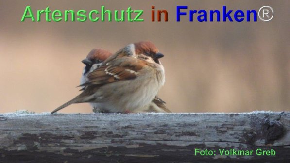 Copyright AiF Volkmar Greb Bild zum Eintrag (74055-160)