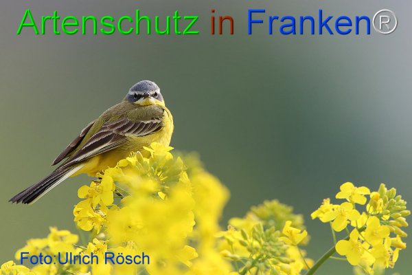 Copyright AiF Ulrich Rösch Bild zum Eintrag (74240-160)