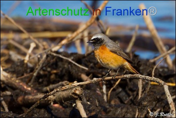 Copyright AiF Johannes Rother Bild zum Eintrag (74277-160)