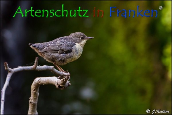 Copyright AiF Johannes Rother Bild zum Eintrag (74346-160)