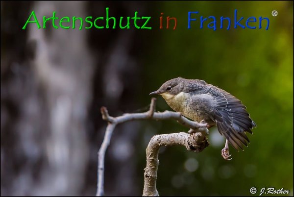 Copyright AiF Johannes Rother Bild zum Eintrag (74349-160)