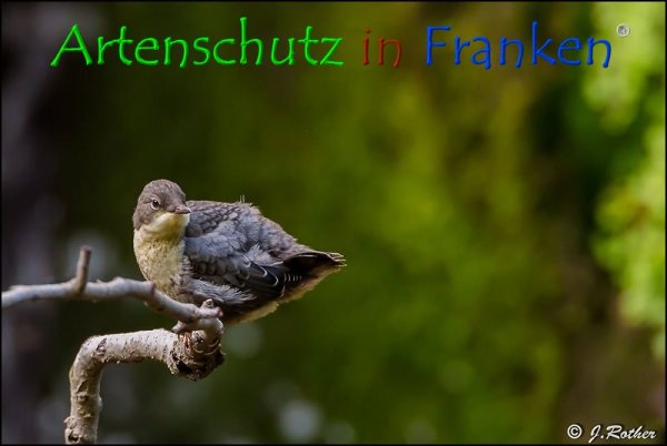 Copyright AiF Johannes Rother Bild zum Eintrag (74350-160)