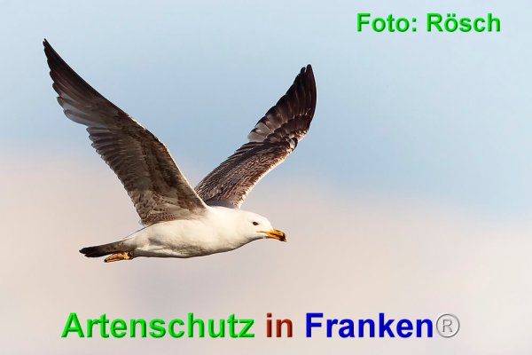 Copyright AiF Ulrich Rösch Bild zum Eintrag (74399-160)