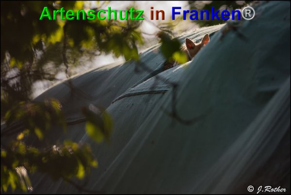 Copyright AiF Johannes Rother Bild zum Eintrag (74422-160)