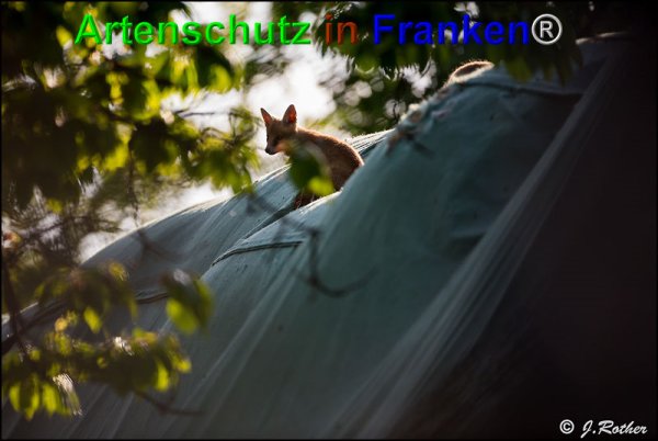 Copyright AiF Johannes Rother Bild zum Eintrag (74426-160)