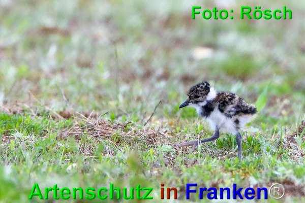 Copyright AiF Ulrich Rösch Bild zum Eintrag (74429-160)