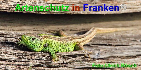 Copyright AiF Ulrich Rösch Bild zum Eintrag (74432-160)