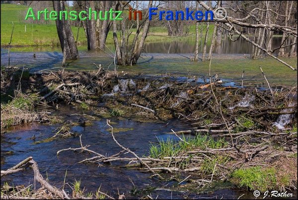 Copyright AiF Johannes Rother Bild zum Eintrag (74528-160)