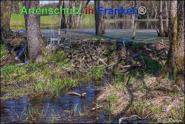 Copyright AiF Johannes Rother Bild zum Eintrag (74530-160)