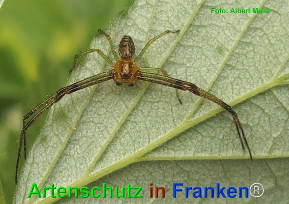 Copyright AiF - Albert Meier Bild zum Eintrag (74579-160)