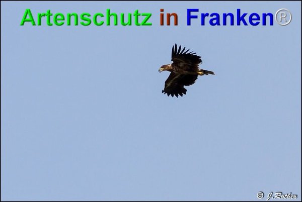 Bild zum Eintrag (74750-160)