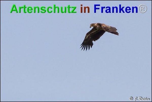 Bild zum Eintrag (74751-160)