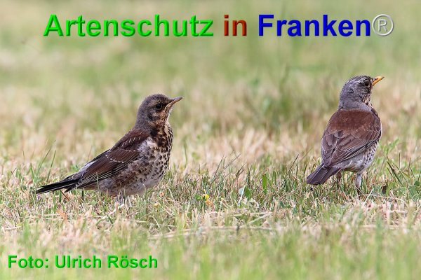 Copyright AiF Ulrich Rösch Bild zum Eintrag (74882-160)