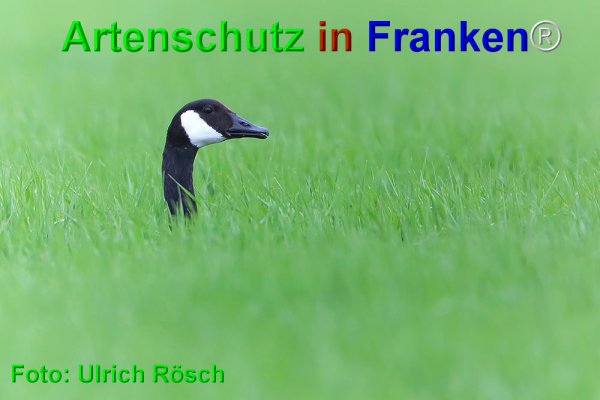 Copyright AiF Ulrich Rösch Bild zum Eintrag (74886-160)