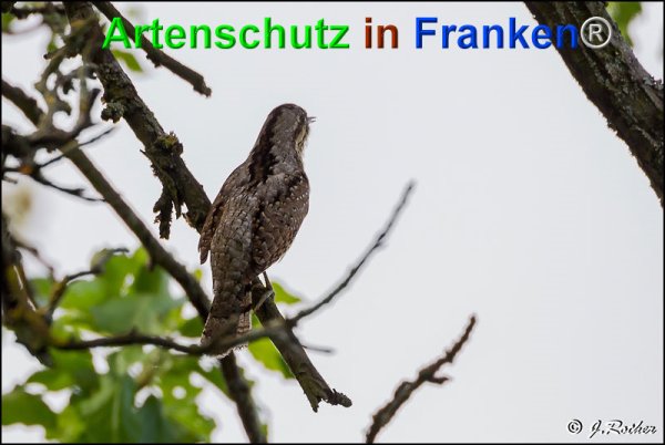 Copyright AiF Johannes Rother Bild zum Eintrag (75218-160)