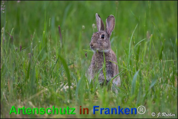 Copyright AiF Johannes Rother Bild zum Eintrag (75219-160)