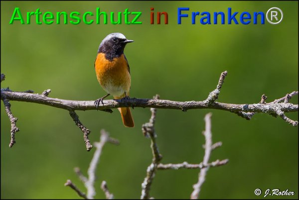 Copyright AiF Johannes Rother Bild zum Eintrag (75227-160)