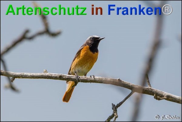 Copyright AiF Johannes Rother Bild zum Eintrag (75228-160)