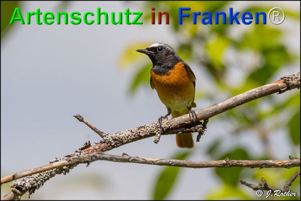 Copyright AiF Johannes Rother Bild zum Eintrag (75233-160)