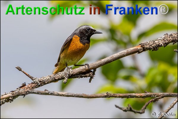 Copyright AiF Johannes Rother Bild zum Eintrag (75234-160)