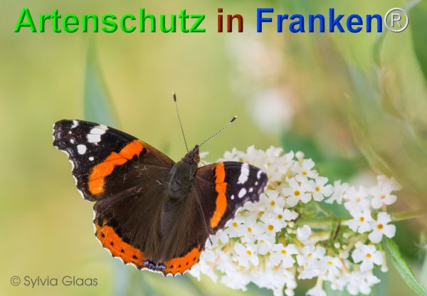 Copyright AiF Sylvia Glaas Bild zum Eintrag (75255-160)