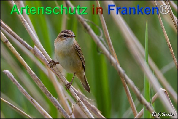 Copyright AiF Johannes Rother Bild zum Eintrag (75285-160)