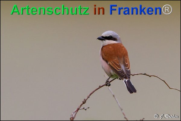 Copyright AiF Johannes Rother Bild zum Eintrag (75344-160)